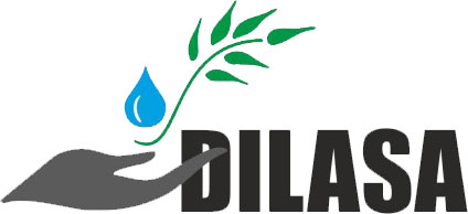 Dilasa - Organisation