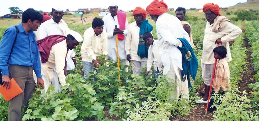 Livelihood Development